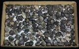 Natural Chalcedony Nodules Wholesale Lot - Pieces #61828-1